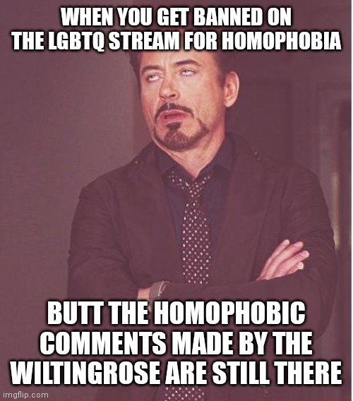 Hypocrisy runs deep there | WHEN YOU GET BANNED ON THE LGBTQ STREAM FOR HOMOPHOBIA; BUTT THE HOMOPHOBIC COMMENTS MADE BY THE WILTINGROSE ARE STILL THERE | image tagged in memes,face you make robert downey jr | made w/ Imgflip meme maker