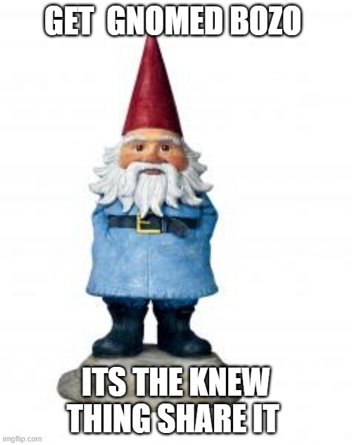 this is the new thing lol | GET  GNOMED BOZO; ITS THE KNEW THING SHARE IT | image tagged in gnome | made w/ Imgflip meme maker