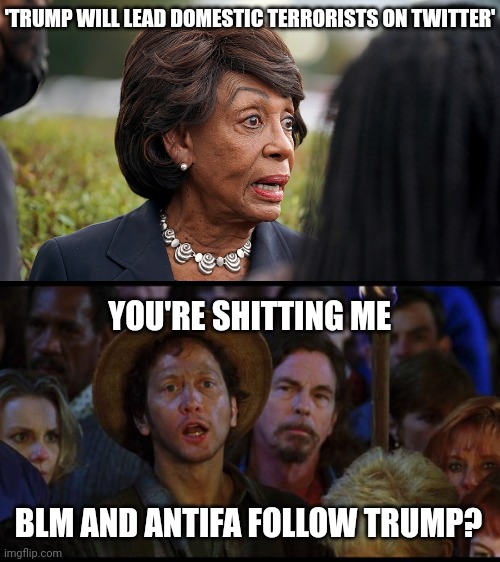 She knows a thing or two about domestic terrorism. | 'TRUMP WILL LEAD DOMESTIC TERRORISTS ON TWITTER'; YOU'RE SHITTING ME; BLM AND ANTIFA FOLLOW TRUMP? | image tagged in oh no we suck again | made w/ Imgflip meme maker