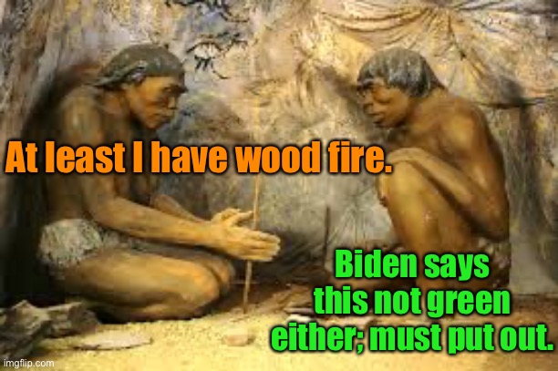 caveman fire | At least I have wood fire. Biden says this not green either; must put out. | image tagged in caveman fire | made w/ Imgflip meme maker
