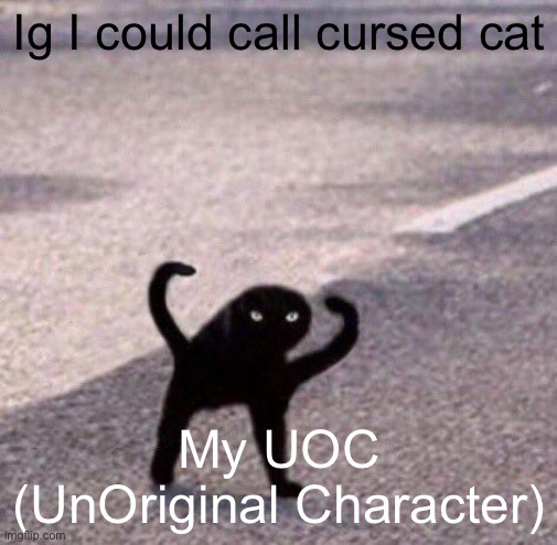 Cursed cat temp | Ig I could call cursed cat; My UOC (UnOriginal Character) | image tagged in cursed cat temp | made w/ Imgflip meme maker