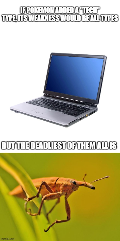 Fr | IF POKEMON ADDED A "TECH" TYPE, ITS WEAKNESS WOULD BE ALL TYPES; BUT THE DEADLIEST OF THEM ALL IS | image tagged in pokemon,bug,computer | made w/ Imgflip meme maker