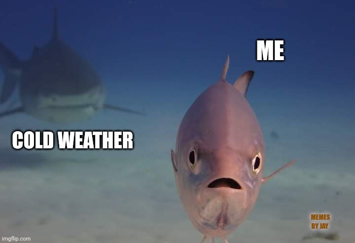 For Real | ME; COLD WEATHER; MEMES BY JAY | image tagged in winter is coming,cold weather,haha brrrrrrr | made w/ Imgflip meme maker