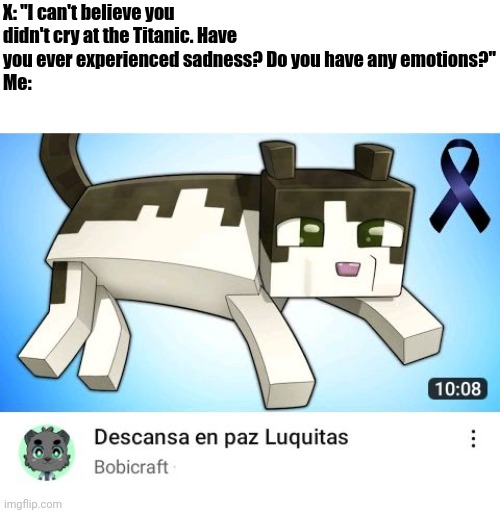 https://youtu.be/TQfXFtVHyAs | X: "I can't believe you didn't cry at the Titanic. Have you ever experienced sadness? Do you have any emotions?"
Me: | image tagged in sadness,memes,sad,funny,cats | made w/ Imgflip meme maker