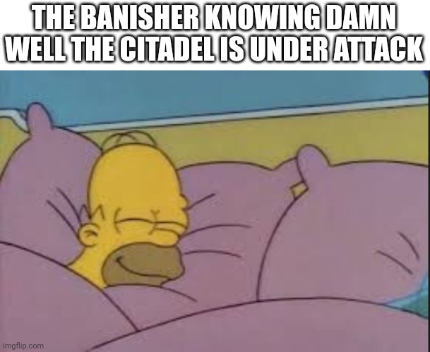 It's like the banisher didn't even care | THE BANISHER KNOWING DAMN WELL THE CITADEL IS UNDER ATTACK | image tagged in how i sleep homer simpson | made w/ Imgflip meme maker