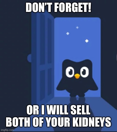 Duolingo bird | DON’T FORGET! OR I WILL SELL BOTH OF YOUR KIDNEYS | image tagged in duolingo bird | made w/ Imgflip meme maker