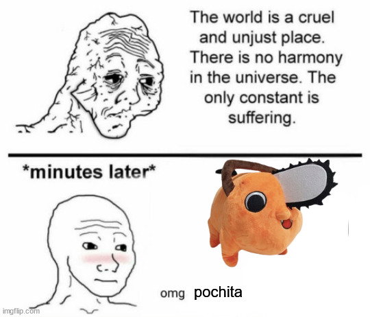 The only constant is suffering | pochita | image tagged in minutes later omg | made w/ Imgflip meme maker