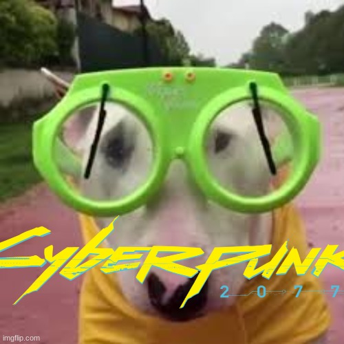 Cyber doggo | image tagged in doggo,glasses,memes,cyberpunk,funny | made w/ Imgflip meme maker