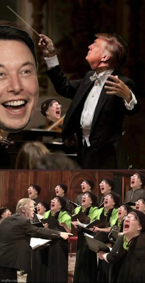 Musk Trump the Maestro | image tagged in elon musk | made w/ Imgflip meme maker