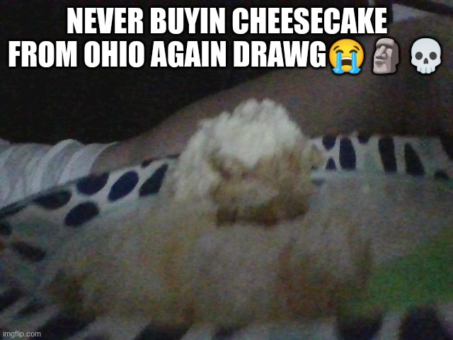 r63 lookin ass | NEVER BUYIN CHEESECAKE FROM OHIO AGAIN DRAWG😭🗿💀 | made w/ Imgflip meme maker