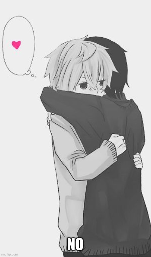 Hug | NO | image tagged in hug | made w/ Imgflip meme maker