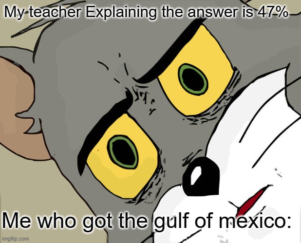 Unsettled Tom Meme | My teacher Explaining the answer is 47%; Me who got the gulf of mexico: | image tagged in memes,unsettled tom | made w/ Imgflip meme maker