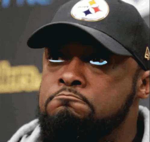 High Quality Fire Mike tomlin Blank Meme Template