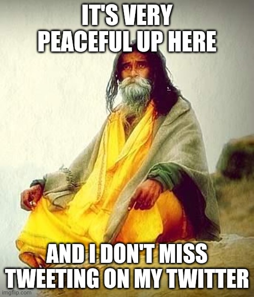 mountain guru | IT'S VERY PEACEFUL UP HERE; AND I DON'T MISS TWEETING ON MY TWITTER | image tagged in mountain guru | made w/ Imgflip meme maker
