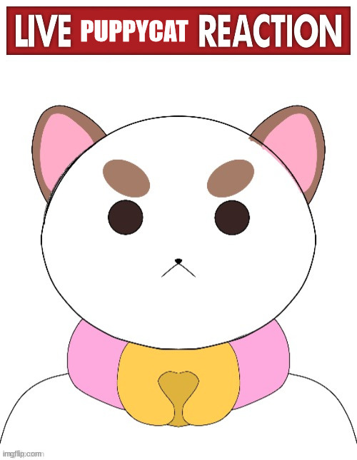 PUPPYCAT | image tagged in live x reaction,puppy cat drawn by saturn | made w/ Imgflip meme maker