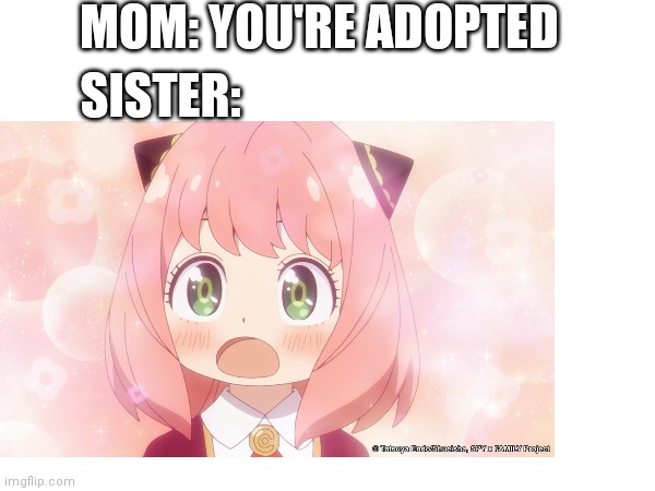 Meme | MOM: YOU'RE ADOPTED; SISTER: | image tagged in funny meme | made w/ Imgflip meme maker