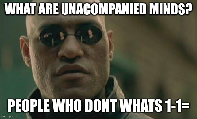 It's 35 | WHAT ARE UNACOMPANIED MINDS? PEOPLE WHO DONT WHATS 1-1= | image tagged in memes,funny meme | made w/ Imgflip meme maker