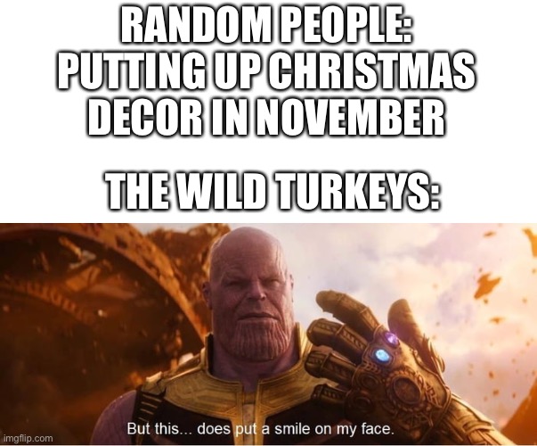But this does put a smile on my face | RANDOM PEOPLE: PUTTING UP CHRISTMAS DECOR IN NOVEMBER; THE WILD TURKEYS: | image tagged in but this does put a smile on my face | made w/ Imgflip meme maker