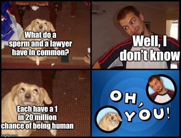 Oh You | What do a sperm and a lawyer have in common? Well, I don’t know; Each have a 1 in 20 million chance of being human | image tagged in oh you | made w/ Imgflip meme maker