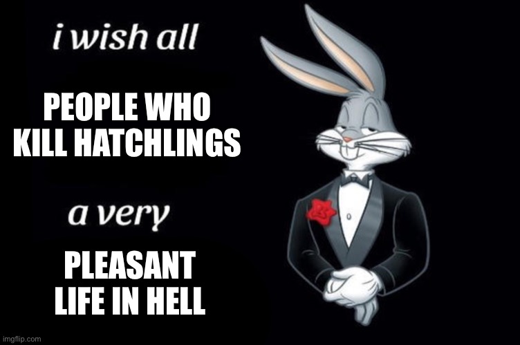 The Isle | PEOPLE WHO KILL HATCHLINGS; PLEASANT LIFE IN HELL | image tagged in bugs bunny i wish all empty template | made w/ Imgflip meme maker