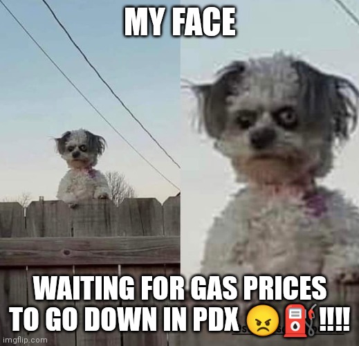 Gas Prices | MY FACE; WAITING FOR GAS PRICES TO GO DOWN IN PDX 😠⛽‼️‼️ | image tagged in gas,gas prices | made w/ Imgflip meme maker