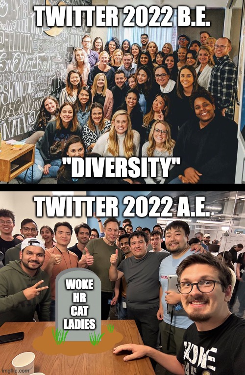 Twitter before and after Elon Musk | TWITTER 2022 B.E. "DIVERSITY"; TWITTER 2022 A.E. WOKE
HR
CAT
LADIES | image tagged in twitter before and after elon musk | made w/ Imgflip meme maker