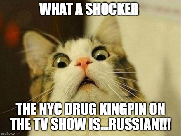 bc that's so common in real life...he's ex-kgb too like putin | WHAT A SHOCKER; THE NYC DRUG KINGPIN ON THE TV SHOW IS...RUSSIAN!!! | image tagged in memes,scared cat | made w/ Imgflip meme maker