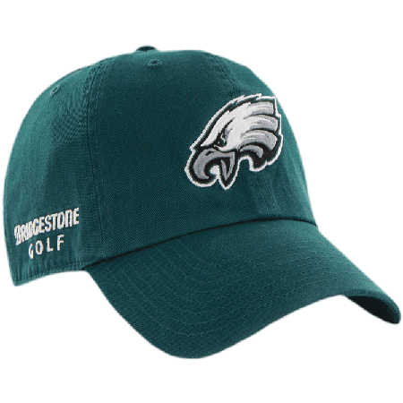 Eagles hat Blank Meme Template