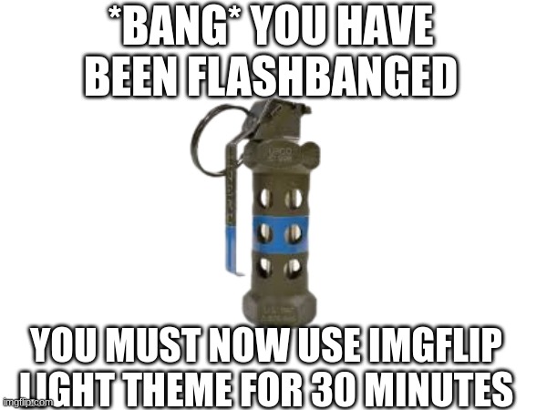 *BANG* YOU HAVE BEEN FLASHBANGED; YOU MUST NOW USE IMGFLIP LIGHT THEME FOR 30 MINUTES | made w/ Imgflip meme maker