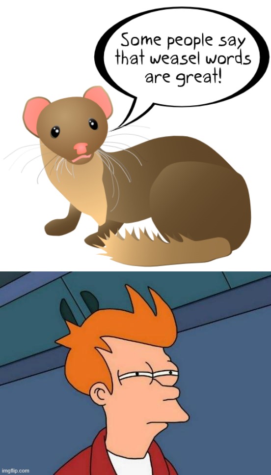 Not sure if many are saying that weasel words are properly used to convey statements that are both obvious and self-evident. | image tagged in some people say that weasel words are great,memes,futurama fry,weasel words,are,great | made w/ Imgflip meme maker