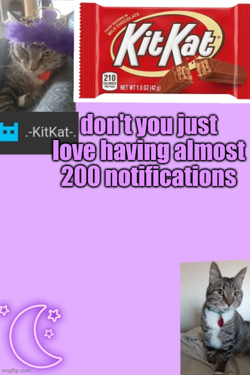 Kittys announcement template kitkat addition | don't you just love having almost 200 notifications | image tagged in kittys announcement template kitkat addition | made w/ Imgflip meme maker