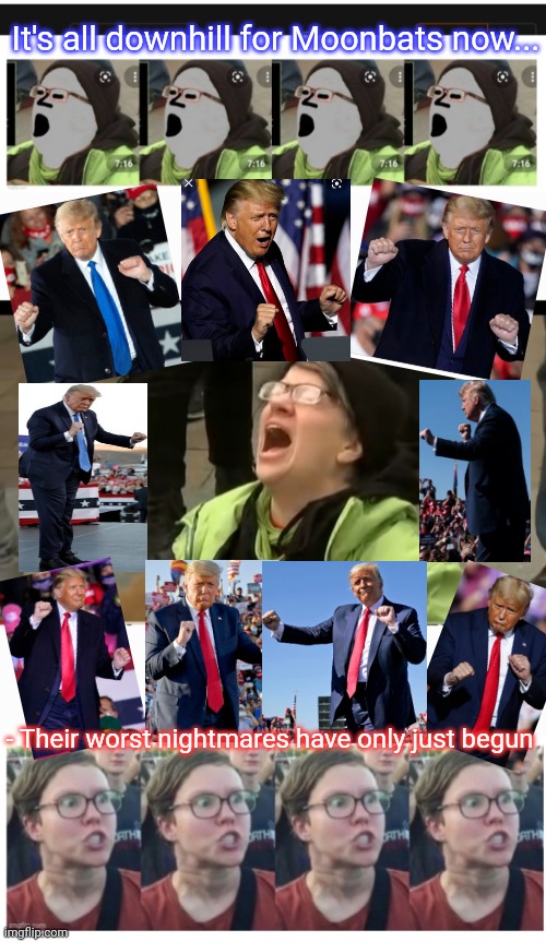 Donald J. Trump US President 47 2024 | It's all downhill for Moonbats now... - Their worst nightmares have only just begun | image tagged in libtards,finished | made w/ Imgflip meme maker