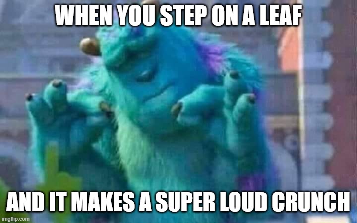 *CRUNCH* | WHEN YOU STEP ON A LEAF; AND IT MAKES A SUPER LOUD CRUNCH | image tagged in sully shutdown | made w/ Imgflip meme maker