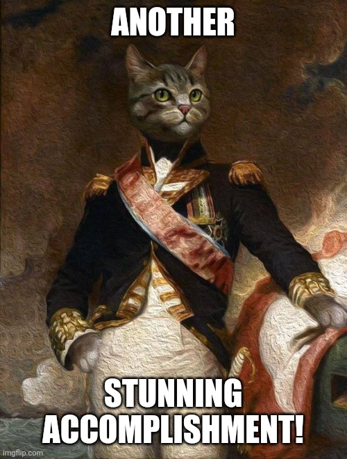 Narcisstic Kitty | ANOTHER; STUNNING ACCOMPLISHMENT! | image tagged in narcissist,kitty,psychology,relationships,alright gentlemen we need a new idea,sexy man | made w/ Imgflip meme maker