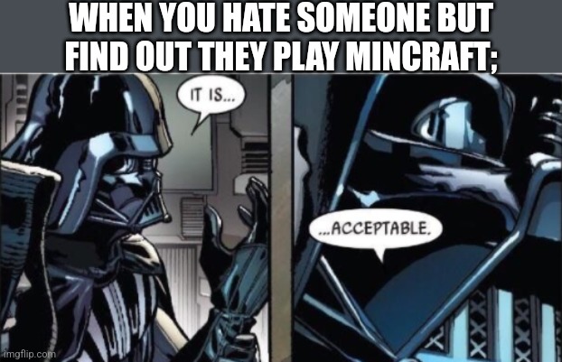 It Is Acceptable | WHEN YOU HATE SOMEONE BUT FIND OUT THEY PLAY MINCRAFT; | image tagged in it is acceptable | made w/ Imgflip meme maker