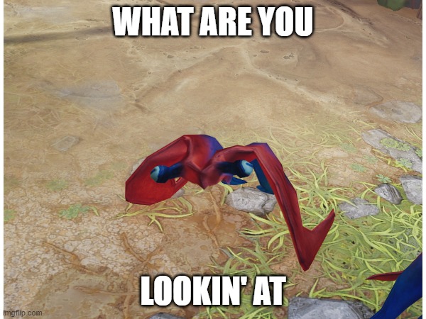 CycleBird |  WHAT ARE YOU; LOOKIN' AT | image tagged in the cycle frontier,cycle,thecyclefrontier,videogames,twitch | made w/ Imgflip meme maker
