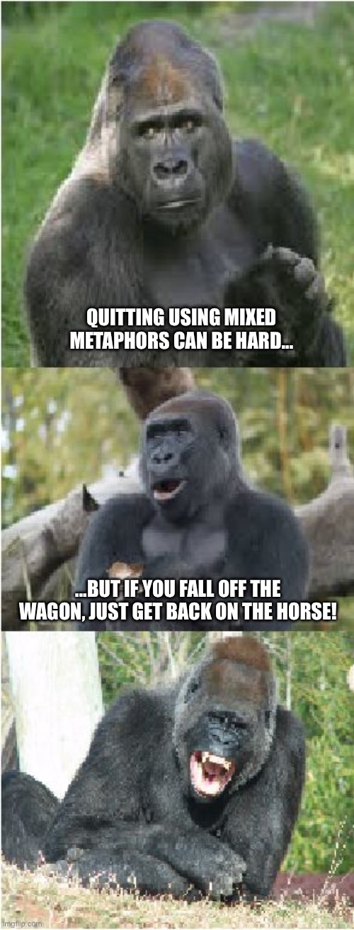 Bad Pun Gorilla | QUITTING USING MIXED METAPHORS CAN BE HARD…; …BUT IF YOU FALL OFF THE WAGON, JUST GET BACK ON THE HORSE! | image tagged in bad pun gorilla | made w/ Imgflip meme maker