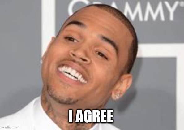 Chris Brown | I AGREE | image tagged in chris brown | made w/ Imgflip meme maker