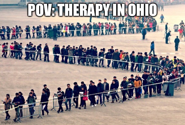 Long line | POV: THERAPY IN OHIO | image tagged in long line | made w/ Imgflip meme maker