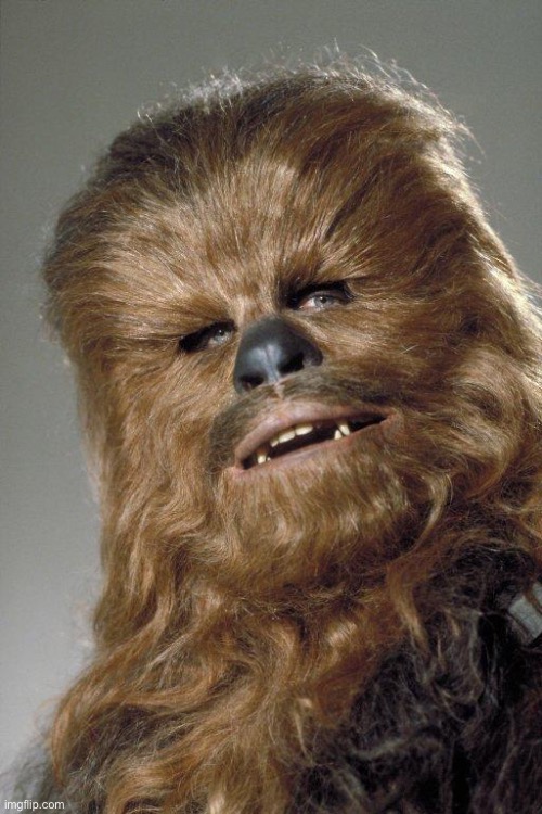 wookie | image tagged in wookie | made w/ Imgflip meme maker