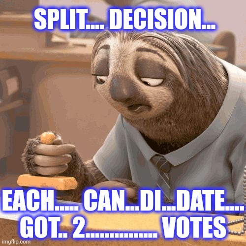 Slow sloth | SPLIT.... DECISION... EACH..... CAN...DI...DATE.... GOT.. 2............... VOTES | image tagged in slow sloth | made w/ Imgflip meme maker