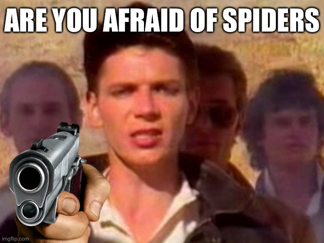 GREAT Scott | ARE YOU AFRAID OF SPIDERS | image tagged in trolls,80s music,australians,hello there,be afraid,funny | made w/ Imgflip meme maker