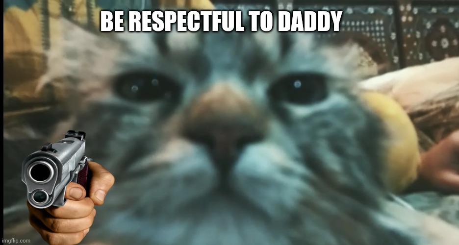 Be respectful to daddy | BE RESPECTFUL TO DADDY | image tagged in funny cat memes | made w/ Imgflip meme maker