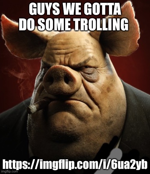 https://imgflip.com/i/6ua2yb | GUYS WE GOTTA DO SOME TROLLING; https://imgflip.com/i/6ua2yb | image tagged in hyper realistic picture of a more average looking pig smoking | made w/ Imgflip meme maker