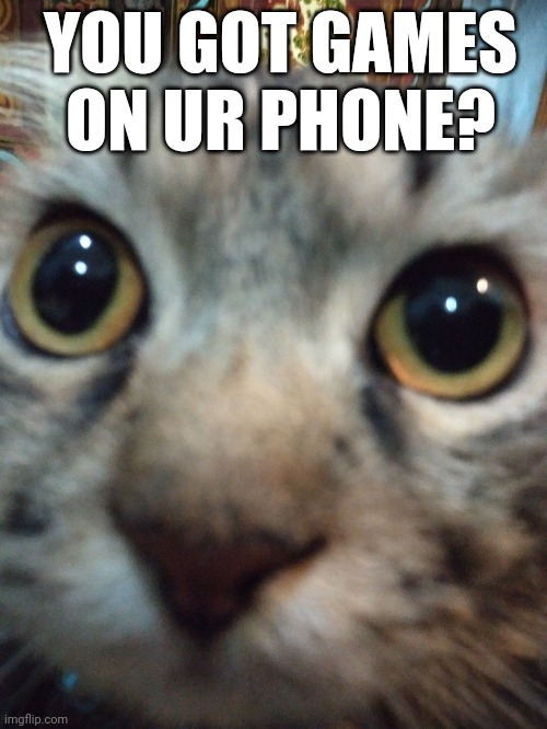 You got games on your phone? | YOU GOT GAMES ON UR PHONE? | image tagged in funny cats | made w/ Imgflip meme maker