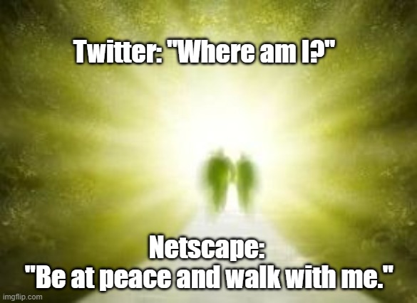 Twitter RIP | Twitter: "Where am I?"; Netscape: 
"Be at peace and walk with me." | image tagged in twitter,netscape | made w/ Imgflip meme maker