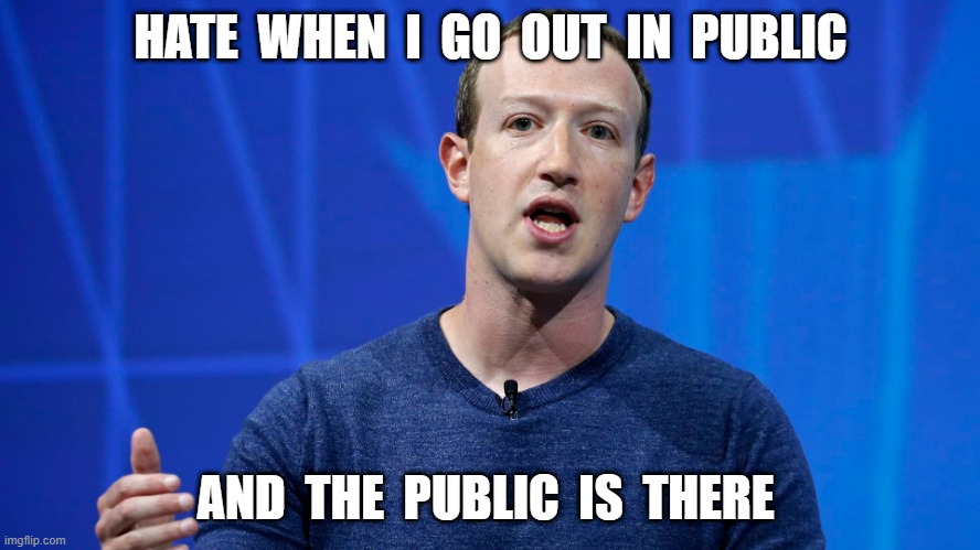 public | HATE  WHEN  I  GO  OUT  IN  PUBLIC; AND  THE  PUBLIC  IS  THERE | image tagged in public | made w/ Imgflip meme maker