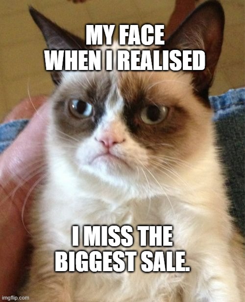 Grumpy Cat Meme | MY FACE WHEN I REALISED; I MISS THE BIGGEST SALE. | image tagged in memes,grumpy cat | made w/ Imgflip meme maker