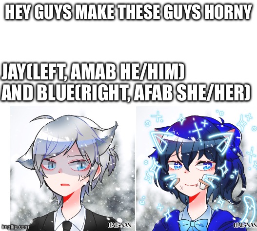 Plsss, dew it! | HEY GUYS MAKE THESE GUYS HORNY; JAY(LEFT, AMAB HE/HIM) AND BLUE(RIGHT, AFAB SHE/HER) | image tagged in horny,request,dew it,pls,im bored | made w/ Imgflip meme maker