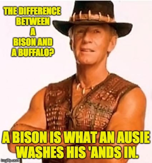 Aussie | image tagged in australia | made w/ Imgflip meme maker